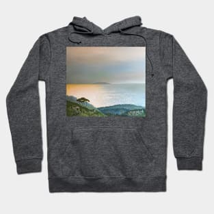 Gorgona Island Hoodie